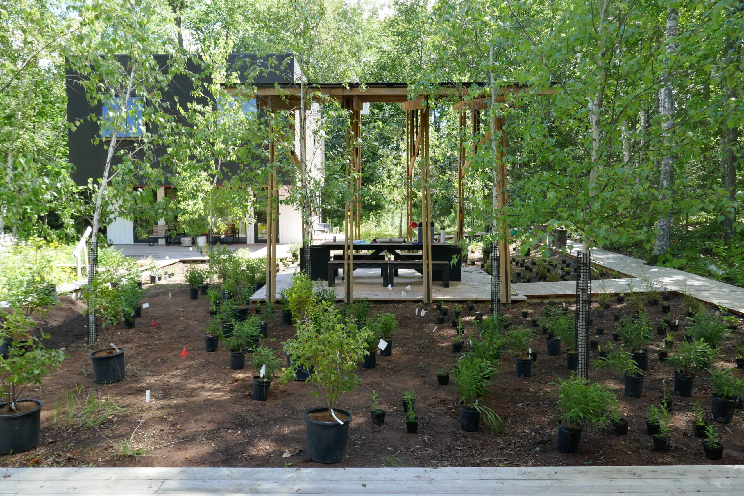 PL_NorthwoodsGarden_Planting2207