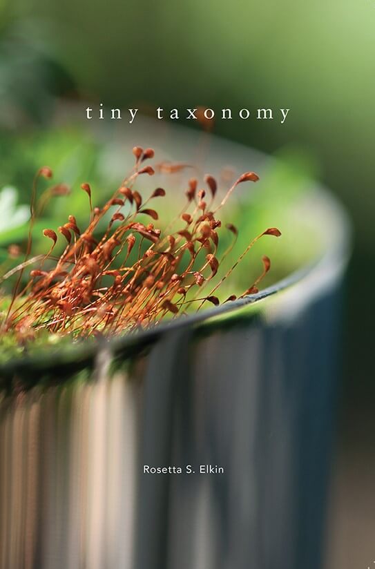 RSE_Tiny Taxonomy COVER 2017
