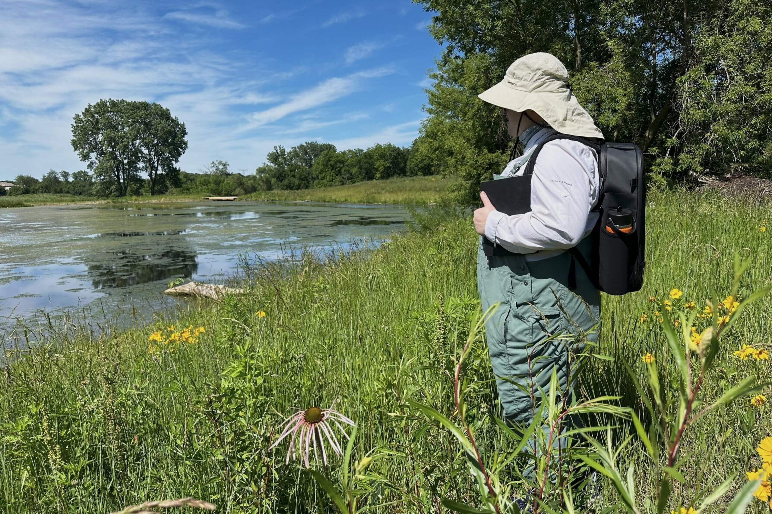 PracticeLandscape_LakeCounty_Wetland_Sarah24