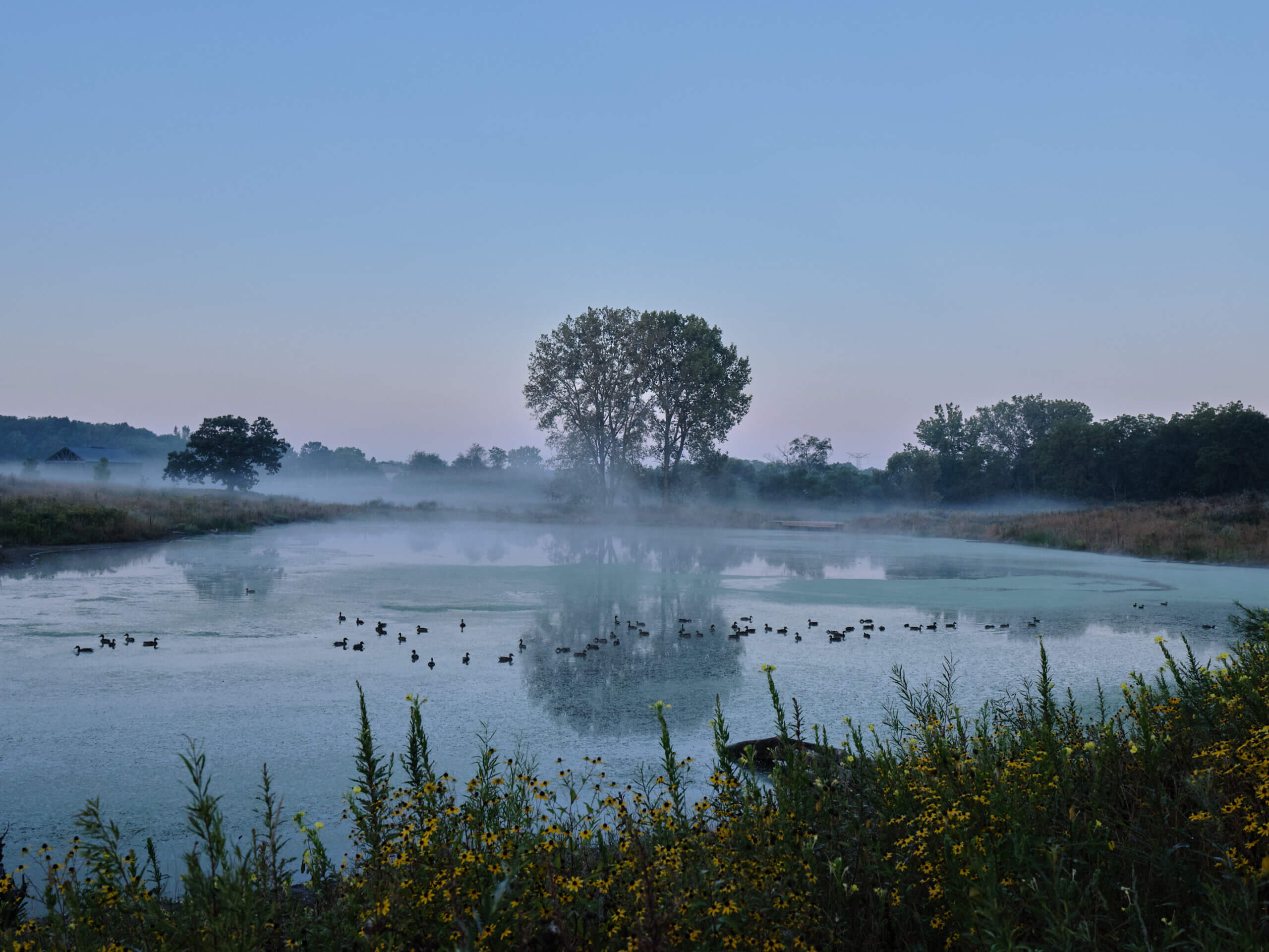 PracticeLandscape_Wetland1_2024_EnmiYang