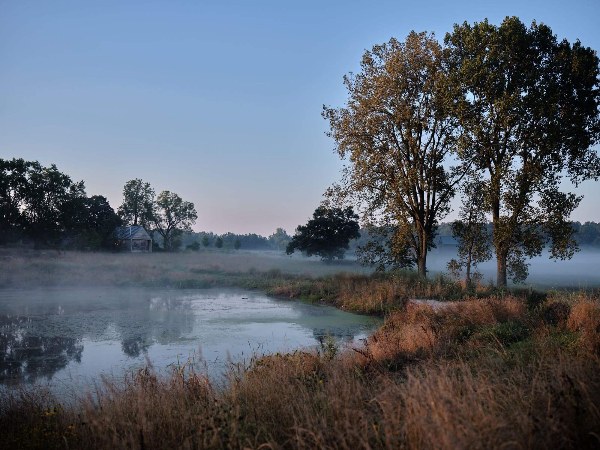 PracticeLandscape_Wetland2_2024_EnmiYang