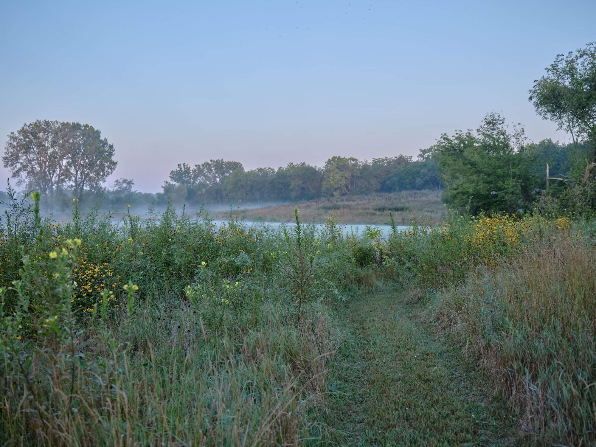 PracticeLandscape_Wetland4_2024_EnmiYang