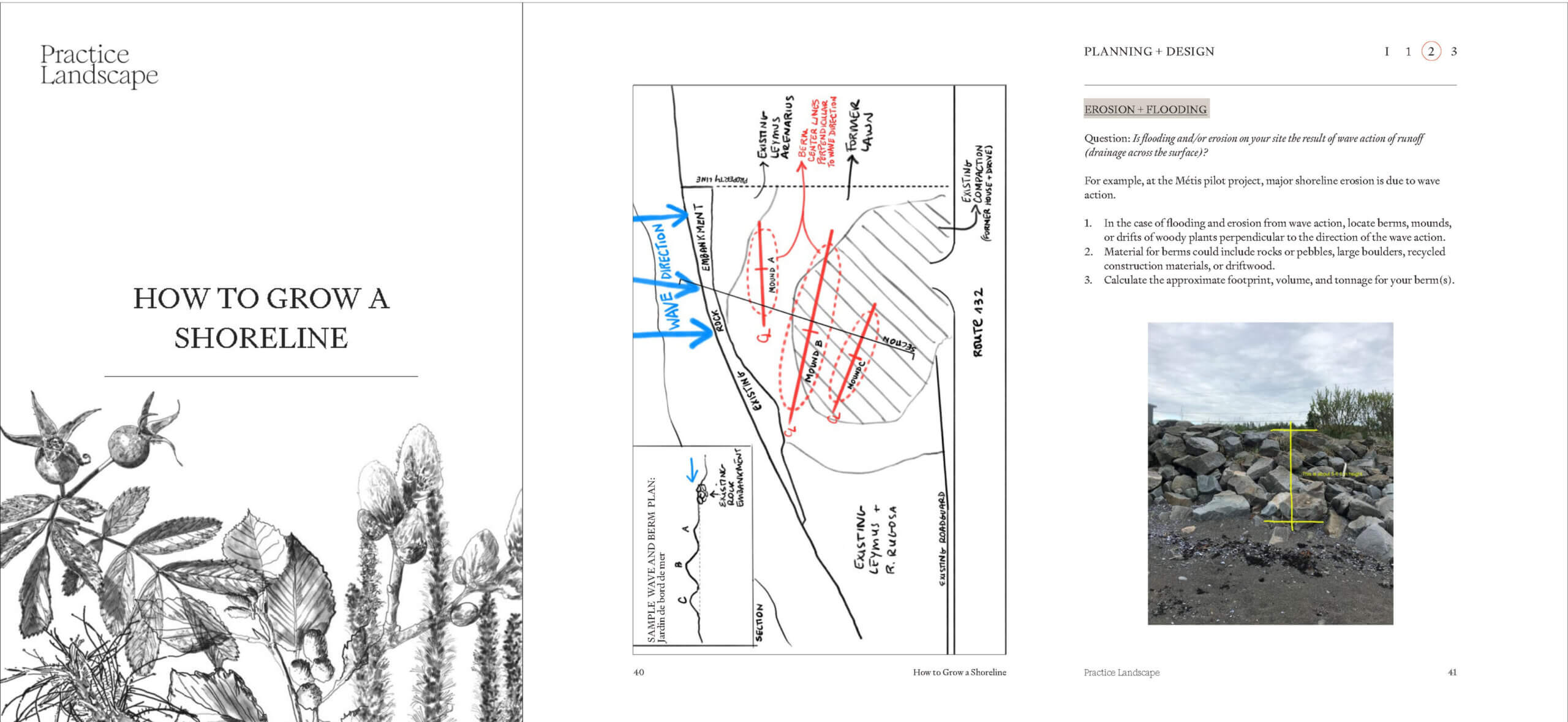 PracticeLandscape_HowtoGrowaShoreline_Website