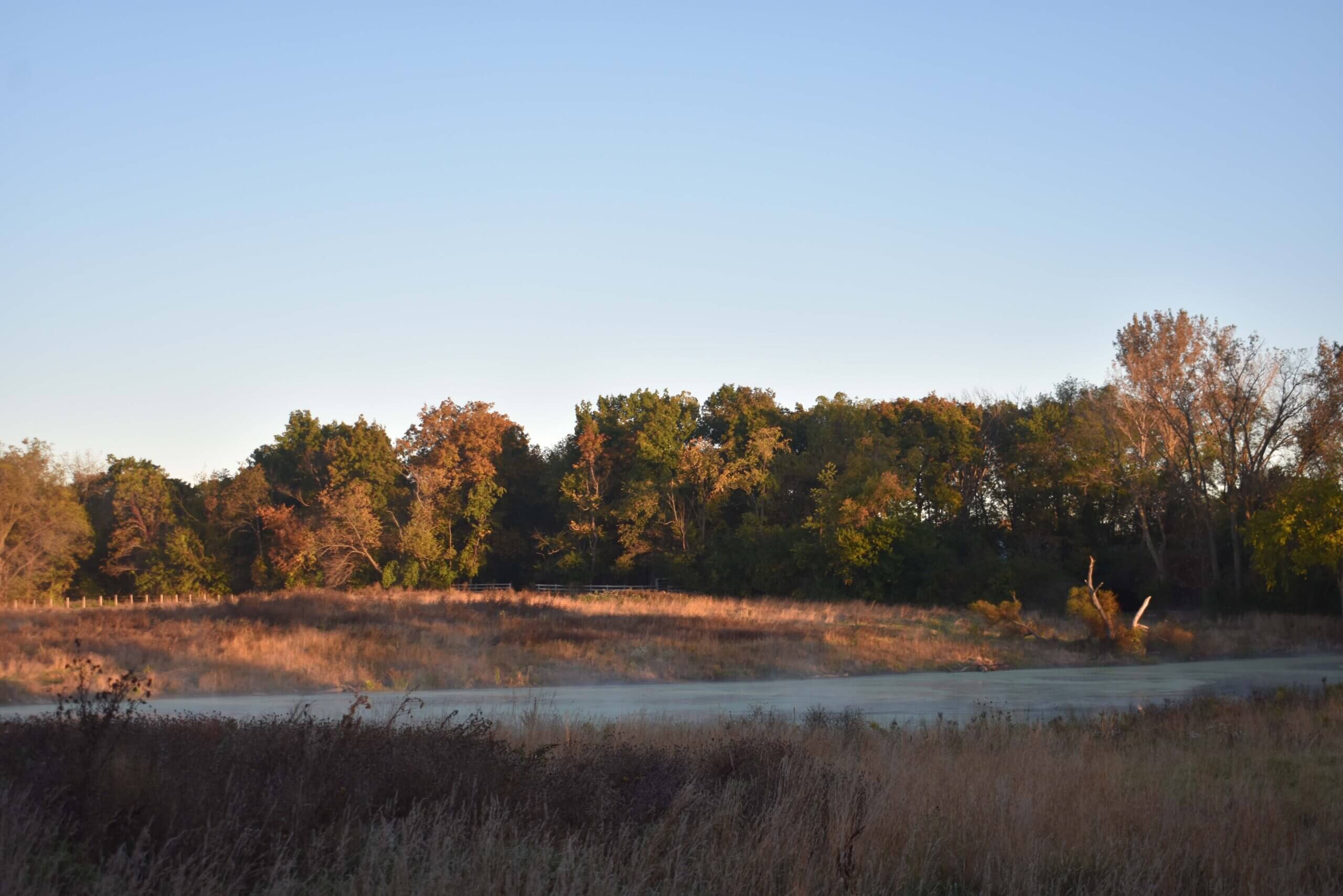 PL_LakeCounty_WetlandLandscape_202410