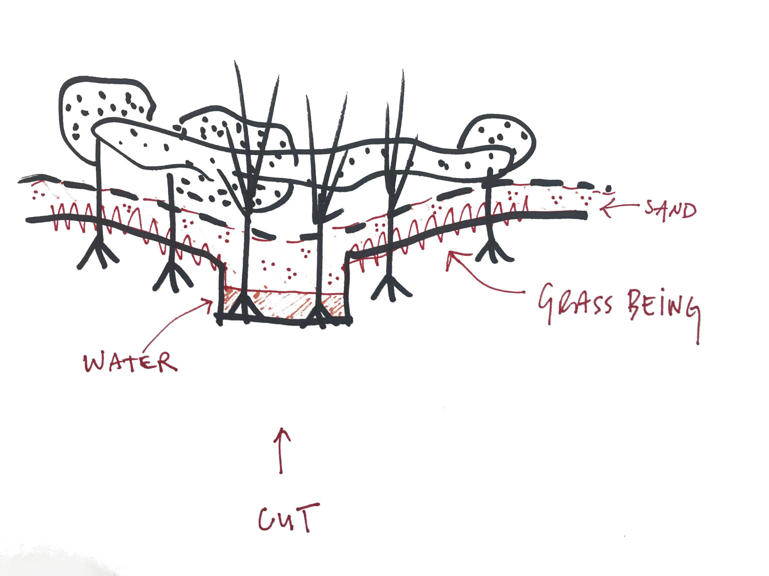 2020_Captiva_Meadow_Sketch